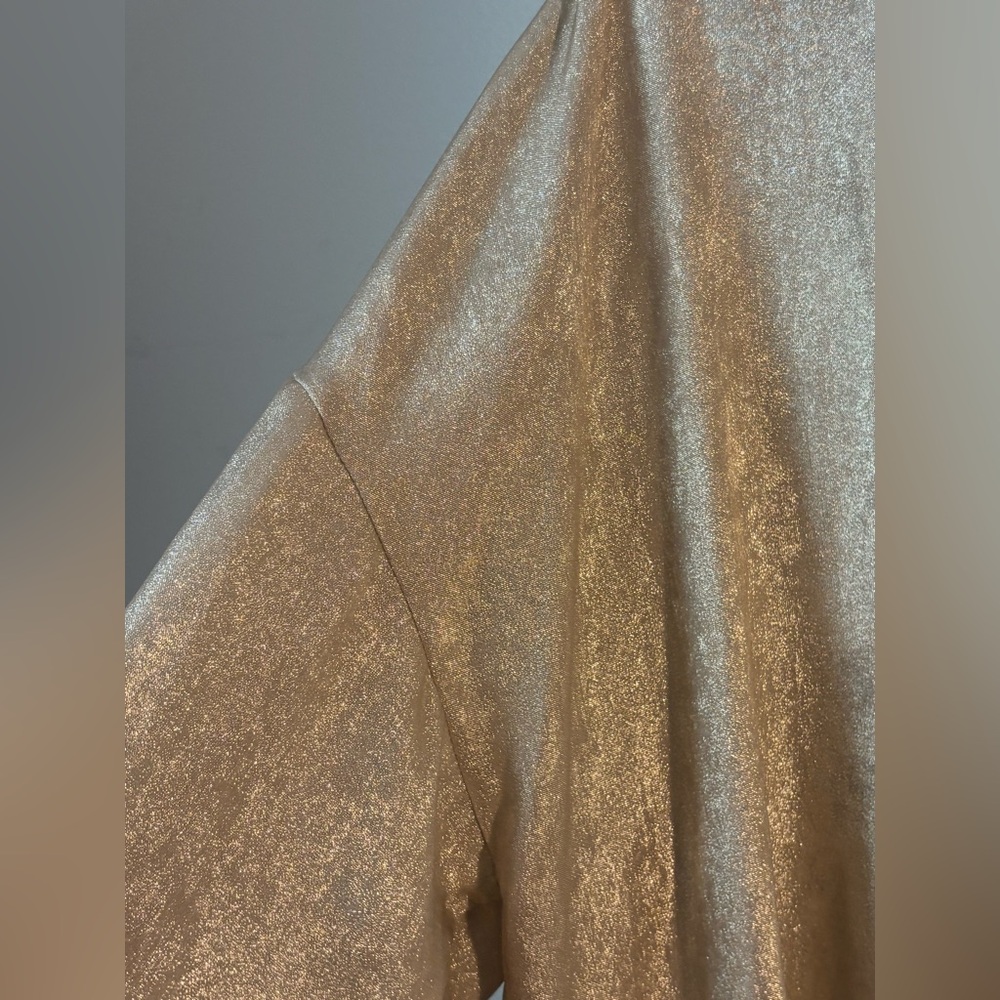 Soft Surroundings Gigi Tunic Blouse Champagne Gold Large Lagenlook Career Party - Picture 4 of 10